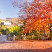 大月市で屋根修理や雨漏り修理をする際のポイントをプロが解説