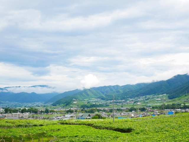 山梨県甲州市で屋根修理費用を抑える方法とは？火災保険や補助金の活用術を紹介！