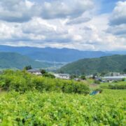 山梨県昭和町で屋根修理！費用目安・助成制度・信頼できる業者の見極め方
