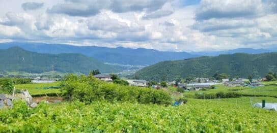 山梨県昭和町で屋根修理！費用目安・助成制度・信頼できる業者の見極め方