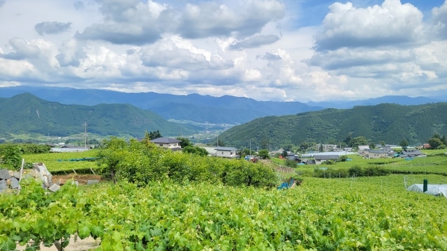 山梨県昭和町で屋根修理！費用目安・助成制度・信頼できる業者の見極め方