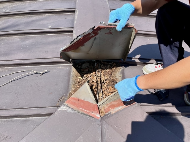 屋根の雨漏り修理費用はいくら？工事内容別の相場と費用を抑えるコツを徹底解説！